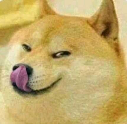 Dogesh Bhai Meme