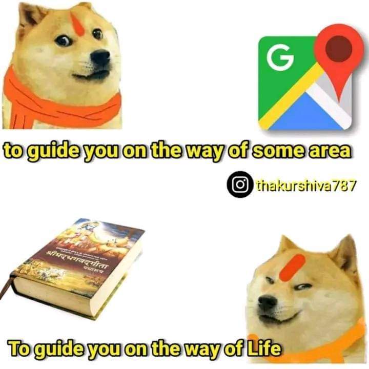 Dogesh Bhai Meme