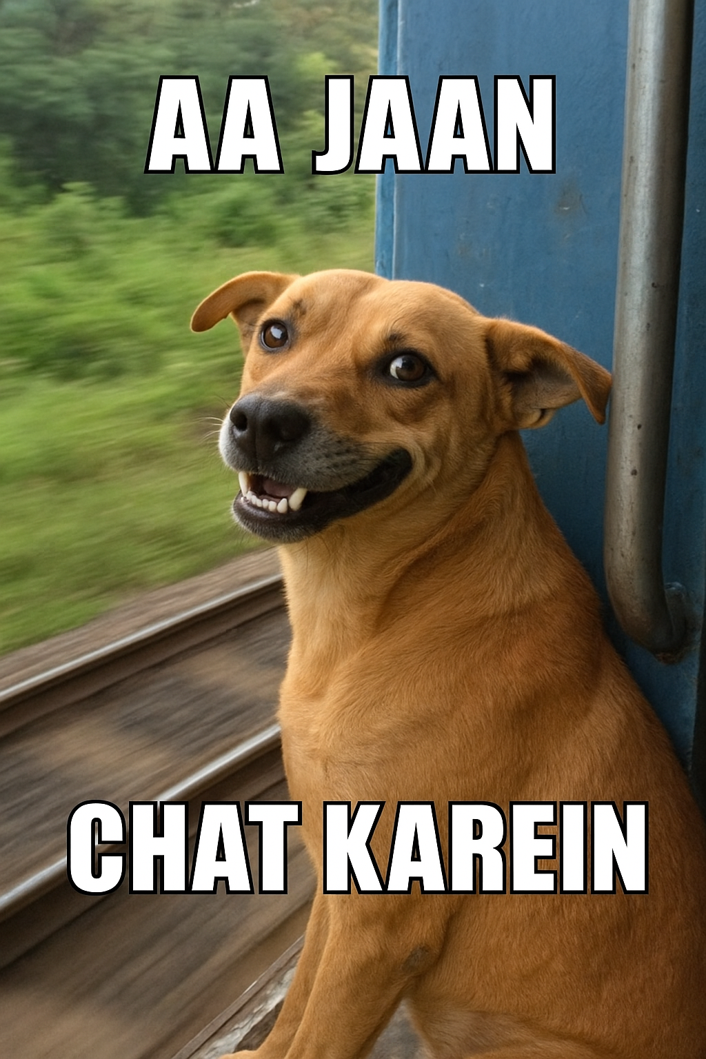 Funny Dog Meme